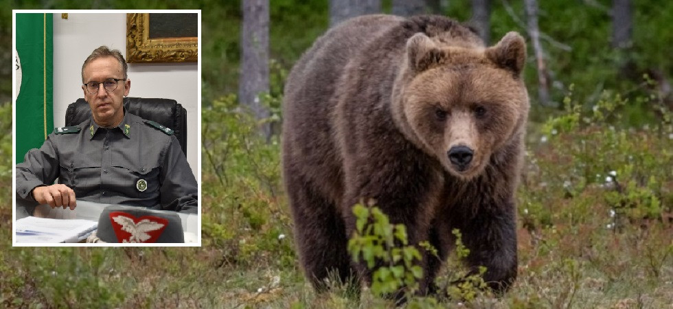 Orsi, due falsi attacchi in 7 giorni a Roncone